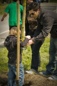 Adrian Despot a plantat un platan în Parcul Tineretului cu ocazia evenimentului GreenASUS (22.04.2010)