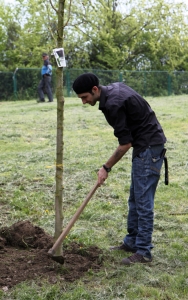 Stevie Bass a plantat un platan în Parcul Tineretului cu ocazia evenimentului GreenASUS (22.04.2010)