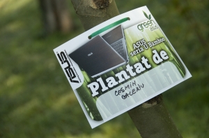 Eticheta GreenASUS pentru copacii plantati in Parcul Tineretului