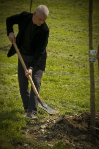Virgil Ianţu plantând un copac în Parcul Tineretului cu ocazia evenimentului GreenASUS (22.04.2010)