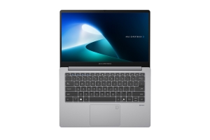 ASUS ExpertBook P1 (P1403)