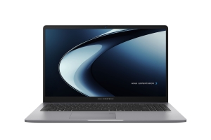 ASUS Expertbook P1 (PM1503)