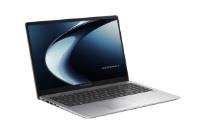 ASUS Expertbook P1 (PM1503)