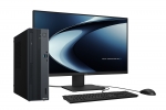 ASUS ExpertCenter P700 SFF (PM700SK)