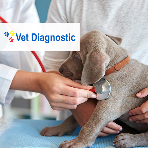 Vet Diagnostic a crescut numarul de comenzi expediate zilnic cu portalul B2B de la Senior Software